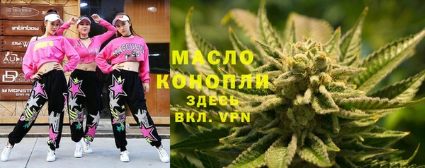 дмт Алексин
