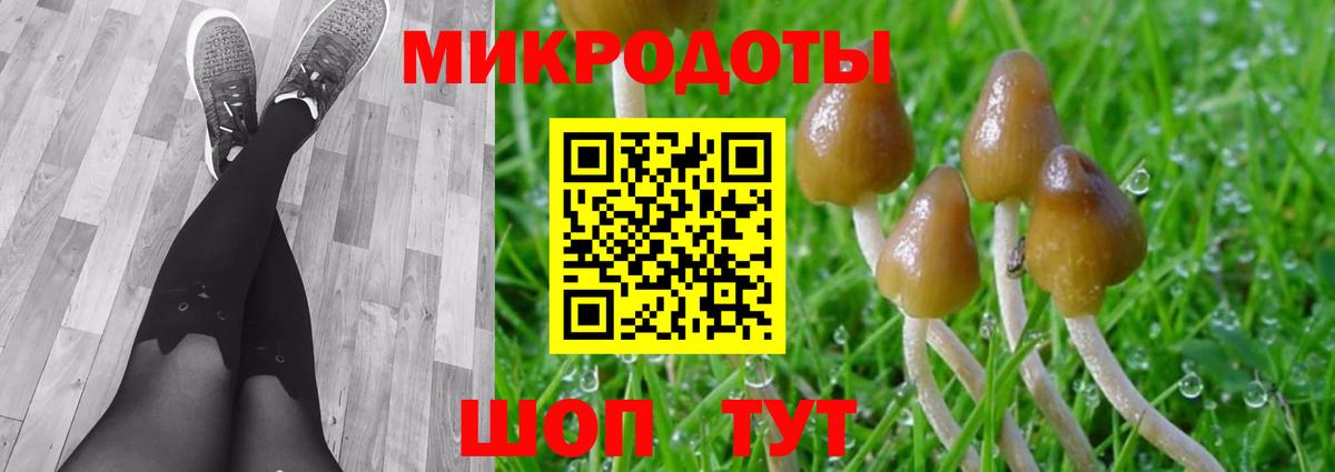 Галлюциногенные грибы мухоморы Апрелевка